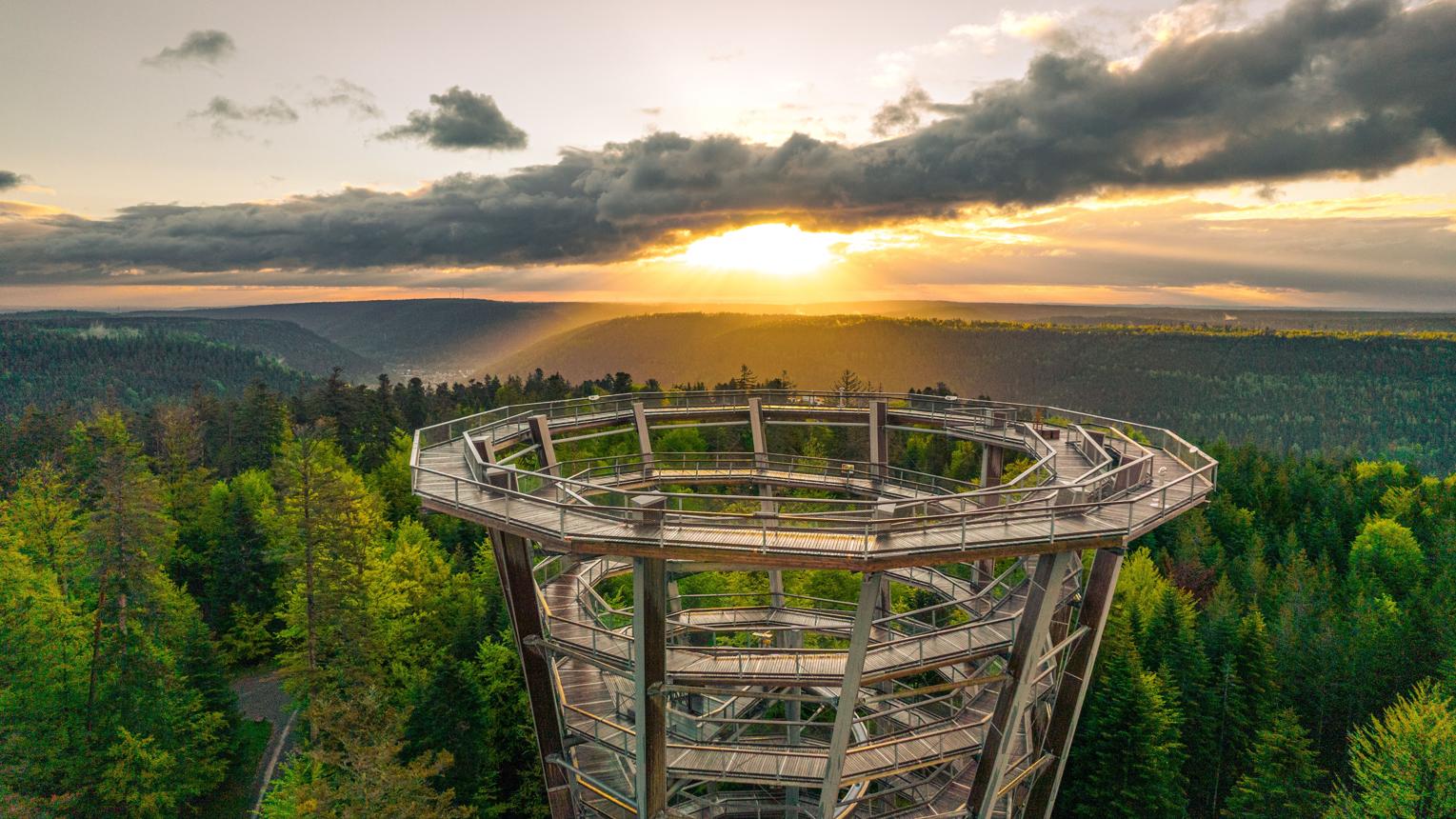 Aussichtsturm des Baumwipfelpfads im Abendlicht